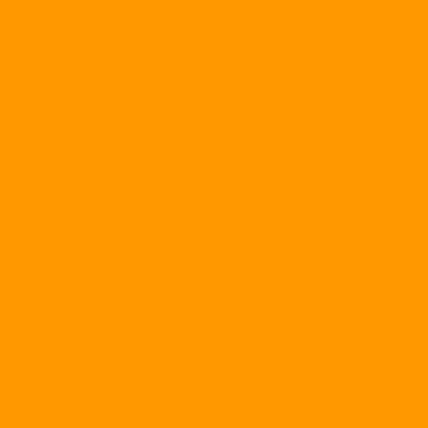 Alpha 6 Corporation AlphaFlex Light Orange Paint-SOLE