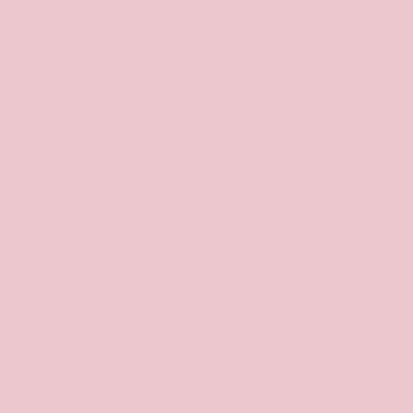 Alpha 6 Corporation AlphaFlex Pink Paint-SOLE