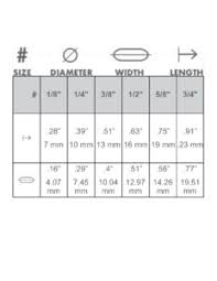 Princeton Value 12- Brush Set With Angle Shader 1/4", Angle Shader 3/8", Angle Shader 1/2"-SOLE